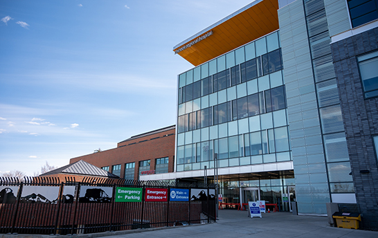 k8凯发(中国)天生赢家·一触即发